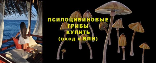 тгк Арсеньев